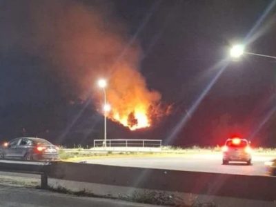 Incendio en Parque Norte de Neuquén: Bomberos lograron controlarlo tras horas de trabajo