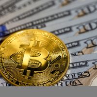 Elecciones 2025: a cuánto cotiza el dólar cripto en la previa a los resultados