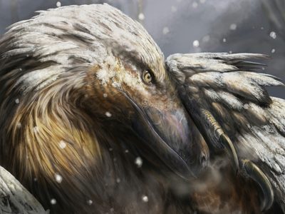 Cuando los primeros dinosaurios de sangre caliente habitaban la Tierra