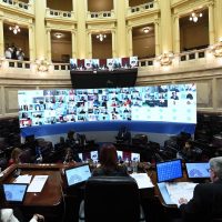 Con un voto en contra, el Senado aprobó que los legisladores no puedan comprar dólar ahorro