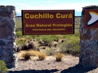 Un grupo de personas ingresó sin autorización al Área Natural Protegida Cuchillo Cura