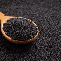 No gastes en productos: así podés preparar este colágeno natural, más sano y desde casa