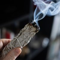 Rituales: la poderosa planta que es perfecta para sahumar la casa y alejarte de situaciones tóxicas