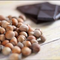 Receta fácil y sin azúcar: hacé tu propia crema de cacao y avellana y no compres más