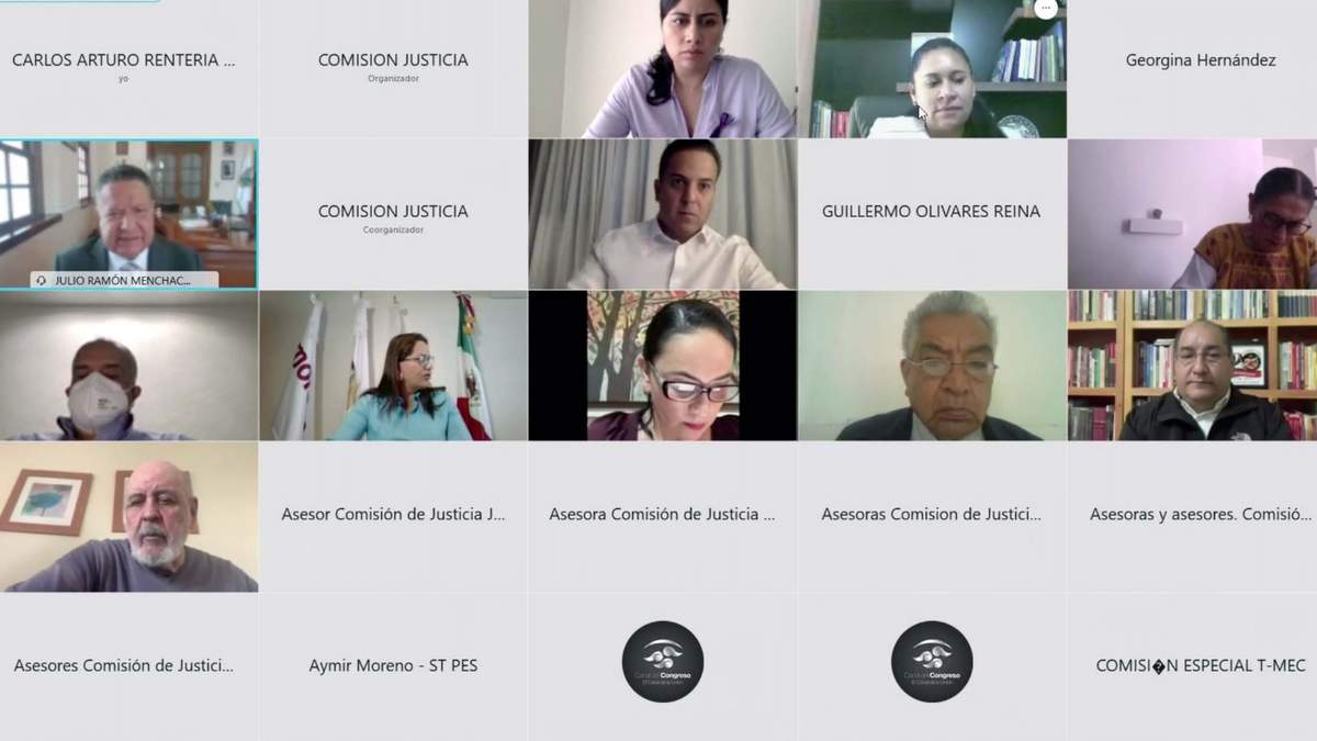 Sesión virtual de comisiones