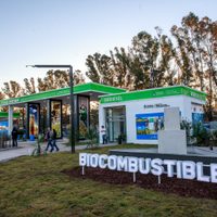 El IAE Mosconi advirtió por la "grave" situación de los biocombustibles