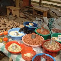 Un estudio revela que en toda América Latina es tendencia la comida "plant based"