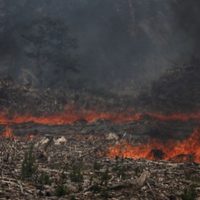 El ejército instalará un campamento para ayudar a combatir los incendios en Aluminé