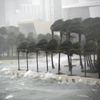 "Irma" azota a Florida; deja sin energía eléctrica a más de un millón de casas (Videos)