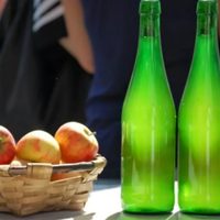 Llega a General Roca el primer Festival de la Sidra y el Turismo Rural