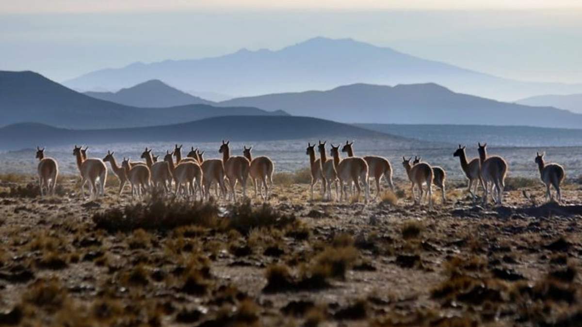 Así va a estar el tiempo en el fin de semana en Mendoza