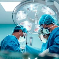 Paciente sobrevive 171 días tras primer xenotrasplante de hígado de cerdo modificado genéticamente