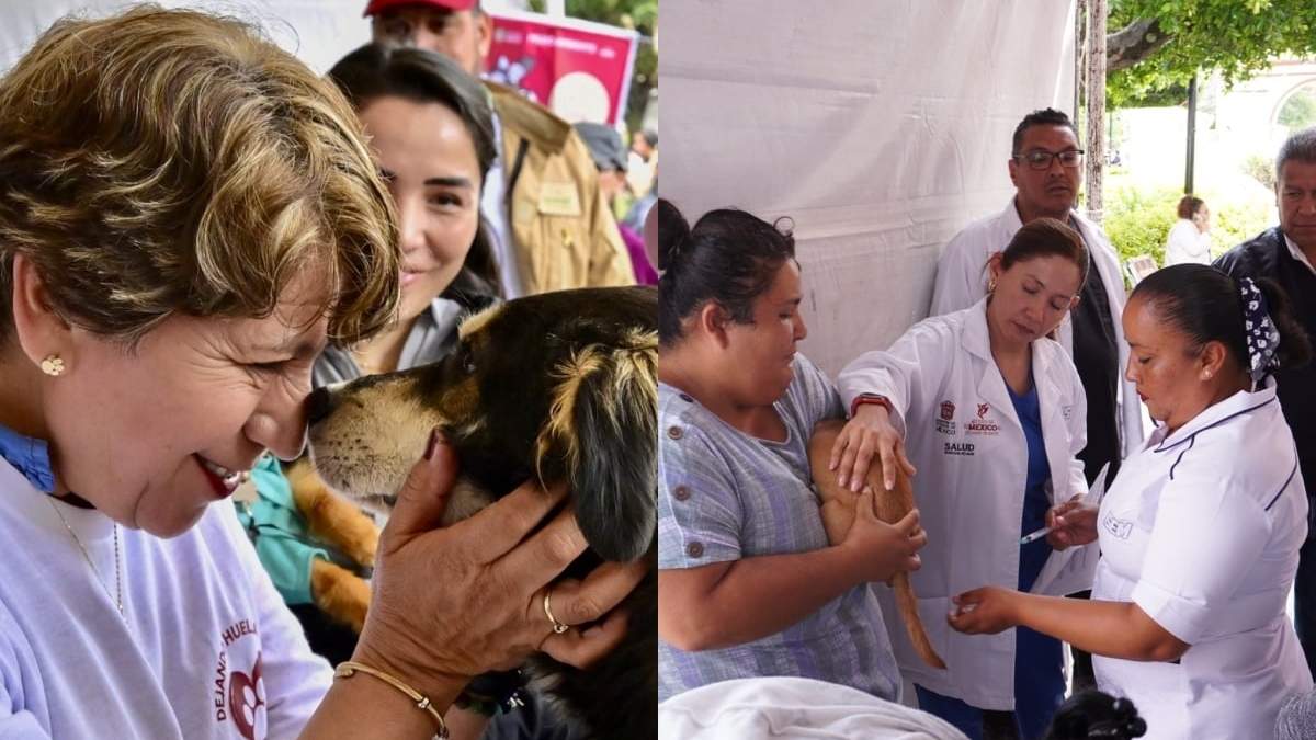 El recurso estará a cargo de la Secretaría de Medio Ambiente y Desarrollo Sostenible estatal.