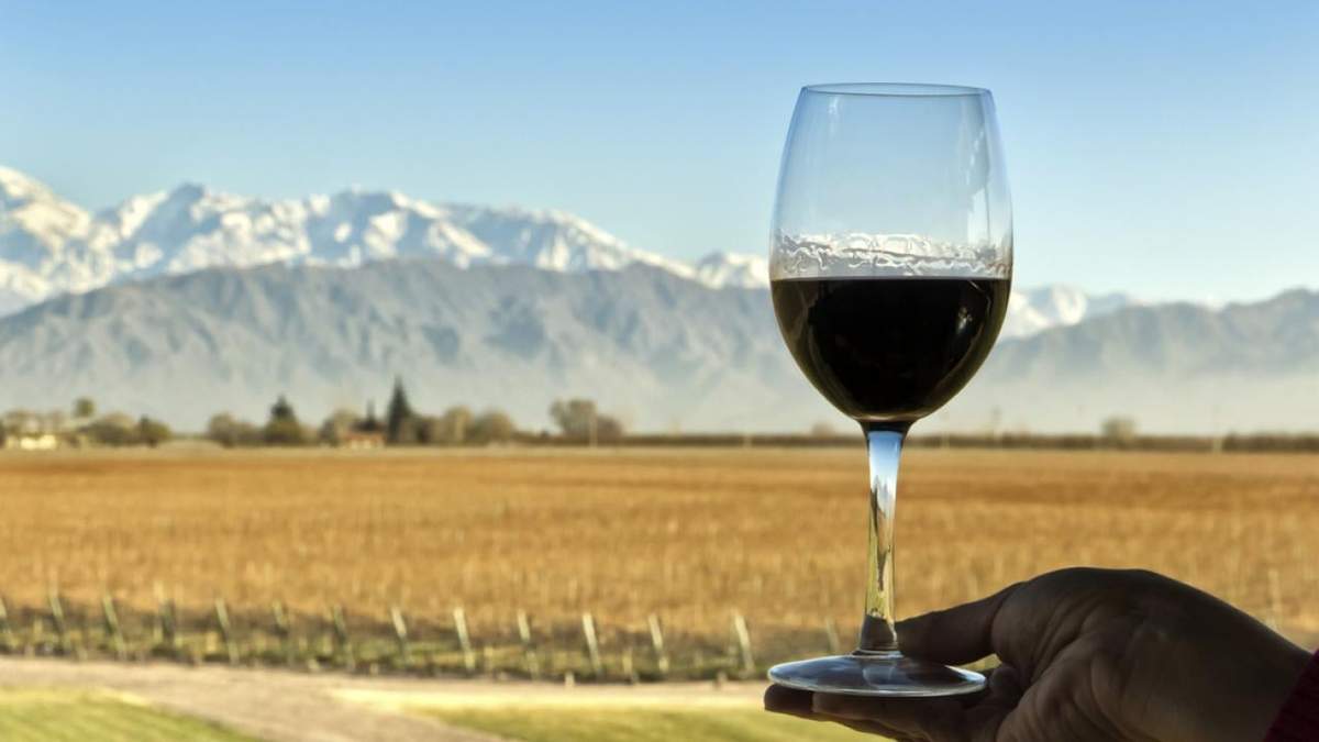 Estudio de mercado del vino. Fuente: (Facebook)