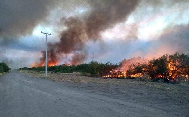 Incendio en Río Colorado Fuente: (Twitter)
