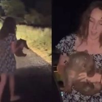 Influencer estadunidense que arrebató una cría de wombat a su madre en Australia se disculpa (Video)