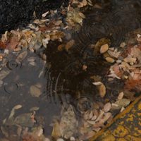 Clima en Neuquén: domingo con lluvias en la cordillera y tardes soleadas y cálidas en valles y meseta