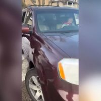 Revelan video que grabó el agente del ICE que baleó y mató a mujer en Minneapolis