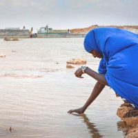 En peligro la seguridad alimentaria por el cambio climático, advierte ONU
