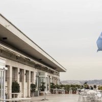 FAO: se desploman los precios mundiales de alimentos básicos