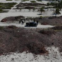 Se detendrá a quienes talaron manglar en Sisal, Yucatán, por ser delito federal: Bárcena