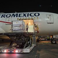 Llegó un avión con vacunas de AstraZeneca: cuántas dosis recibió Argentina