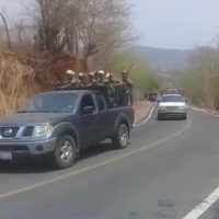 Alertan por movilización de autodefensas; temen otro choque en Xaltianguis (Video)