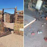 Le robaron los animales a un puestero y anunció que se va a armar
