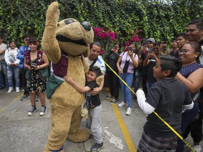Este es Wisin, el "perrito luchador" de México que se ha vuelto fenómeno viral (Video)