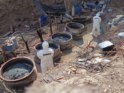Desmantelan cinco narcolaboratorios en Jalisco, Nayarit y Sinaloa