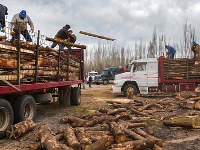 Continúa el Operativo Leña en el interior de la provincia