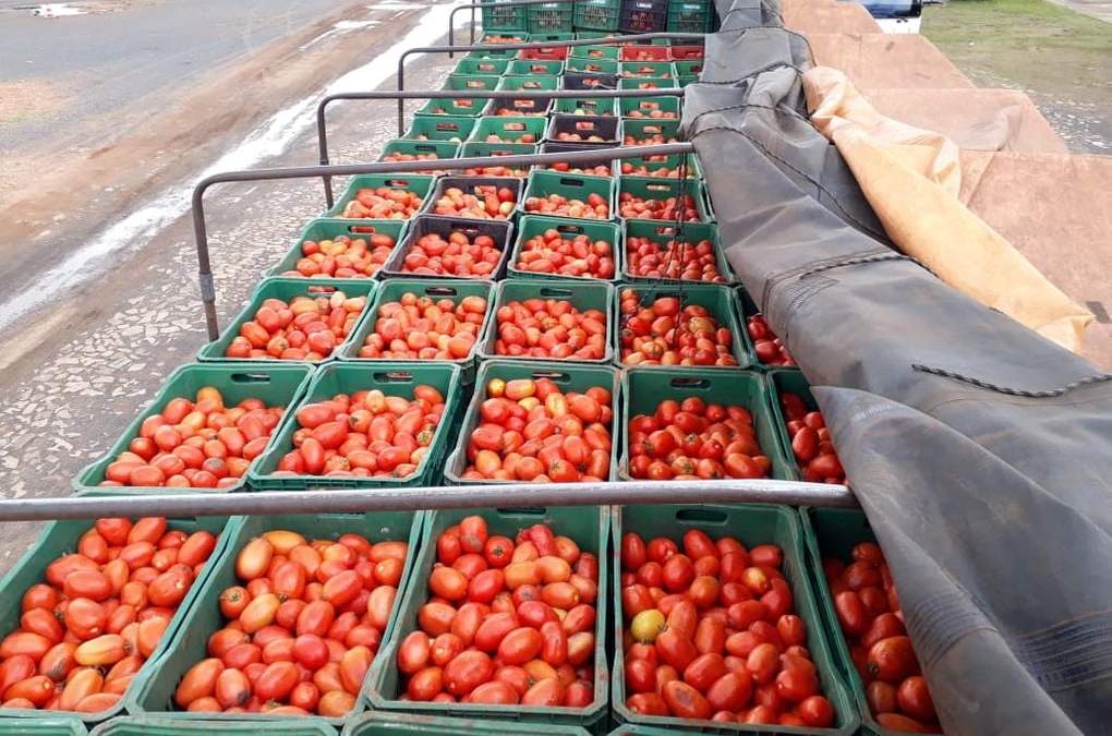 Organizan transporte de alimentos en América del Sur. Fuente:(Twitter)