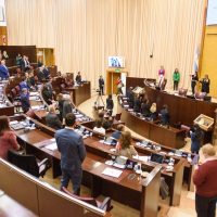La Legislatura aprobó el nuevo Compre Neuquino y exigió la vuelta de la Tarifa Comahue