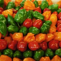 Chile habanero de Yucatán recibirá certificación de origen por parte de la EMA