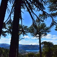 Qué dice el pronóstico: el estado del clima para hoy en Neuquén