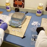 PGR analiza armas y drogas hallados durante la captura de 'El Pistache”