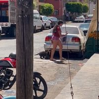 La Profepa asegura un jaguar negro que era paseado por calles de Tepatitlán (Video)
