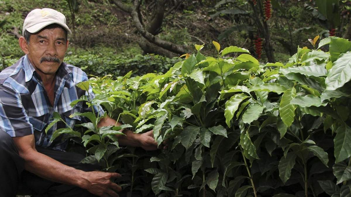 Agricultura genera protocolo para viveristas. Fuente: (Facebook)