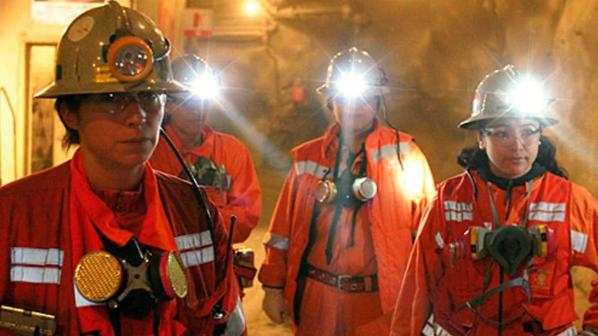 Los detalles de la Red Federal de Mujeres Mineras Argentinas se publicaron en el Boletín Oficial. Fuente: (Twitter)