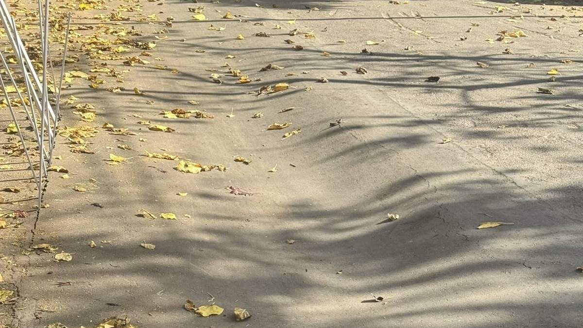 Vecinos piden la reparación.