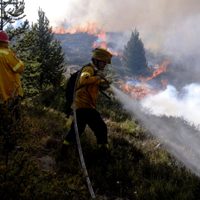 Incendios: cómo sigue la situación en la Patagonia