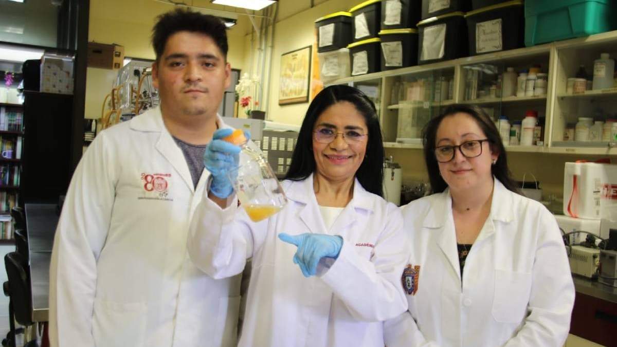 Especialistas del Politécnico