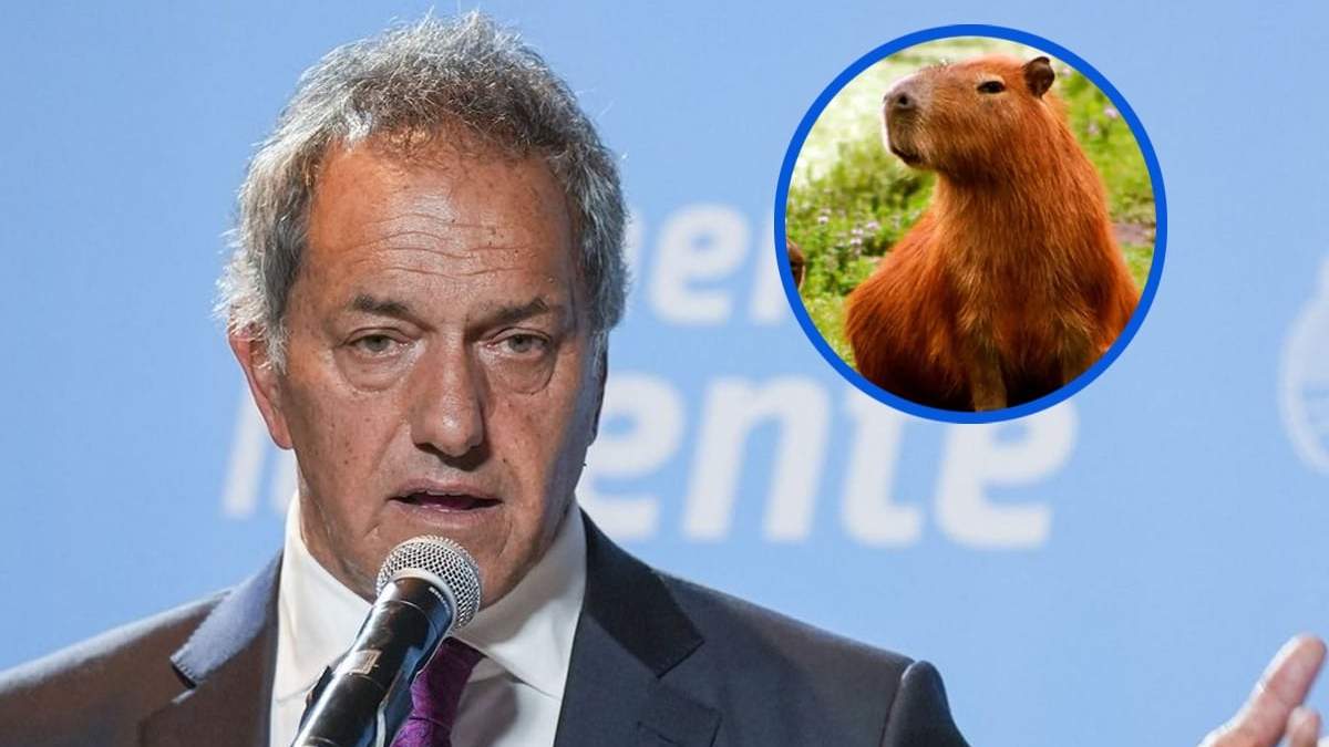 Daniel Scioli. Fuente: (X)