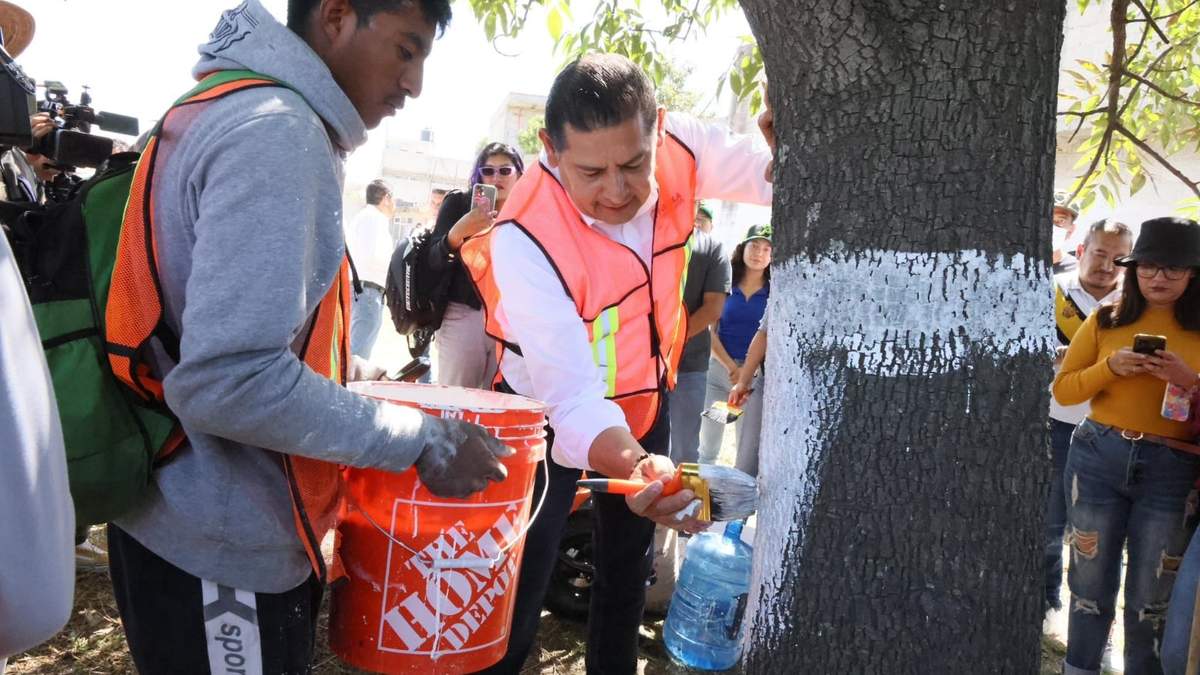 El gobernador de Puebla, Alejandro Armenta, encala un árbol durante la llamada "faena comunitaria" del 7 de junio de 2025