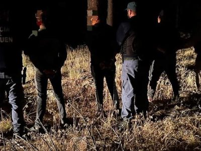 Detuvieron a cuatro cazadores furtivos con prontuario por drogas, en el momento que mataban una vaca