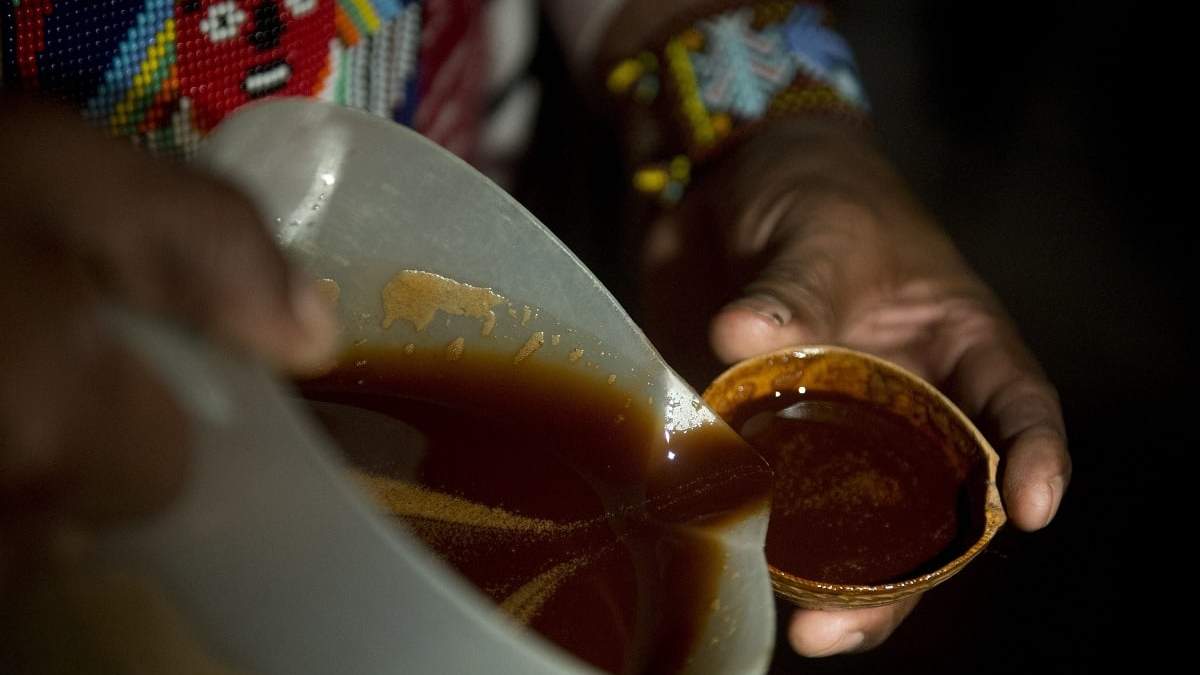 La ayahuasca es una bebida tradicionalmente usada en las comunidades indígenas de Sudamérica. Fuente: (Twitter)