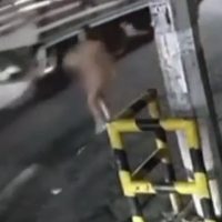 Atropellan a una mujer que caminaba desnuda por una avenida de Monterrey (Video)