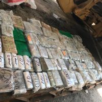 En Reynosa, aseguran tractocamión con más de 32 mdp; hay dos detenidos