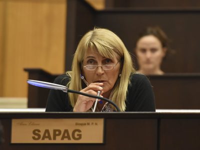 Alma Sapag repudió los dichos de Cabandié sobre Vaca Muerta
