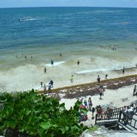 Investigación periodística documenta una red de corrupción y caos ecológico en Tulum